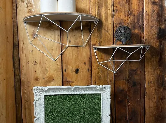 Apartment Art Govora